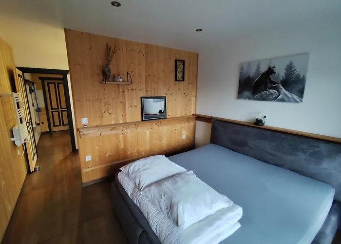 Du Nid D'amour Horská chata Gérardmer